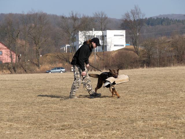 P1016423_DxO_raw
