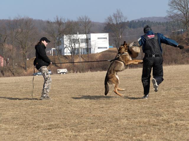P1016432_DxO_raw