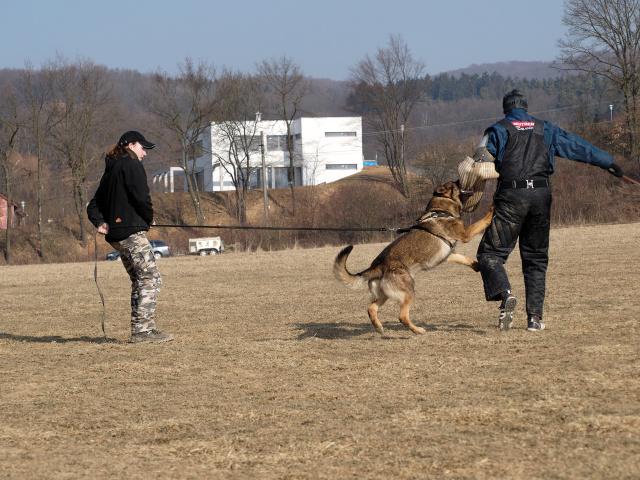 P1016433_DxO_raw