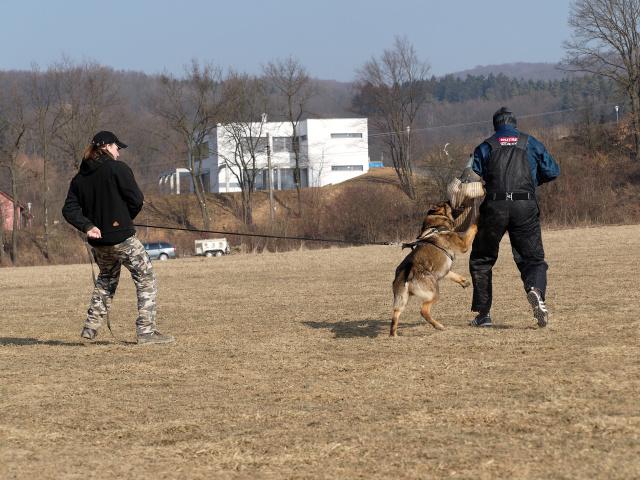 P1016434_DxO_raw