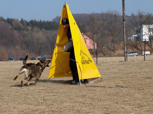 P1016460_DxO_raw