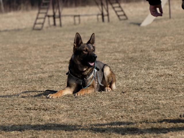 P1016485_DxO_raw