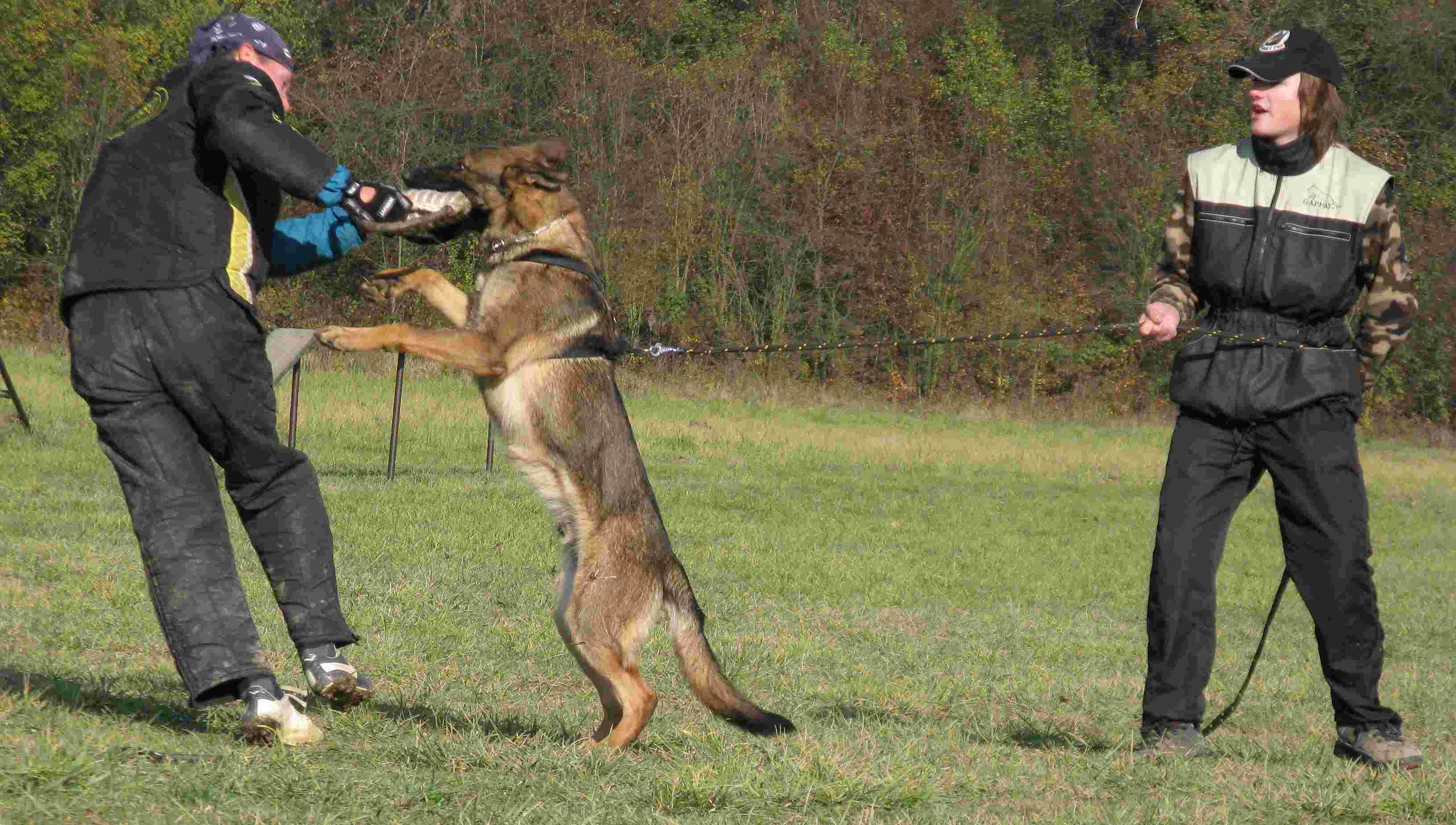 hop