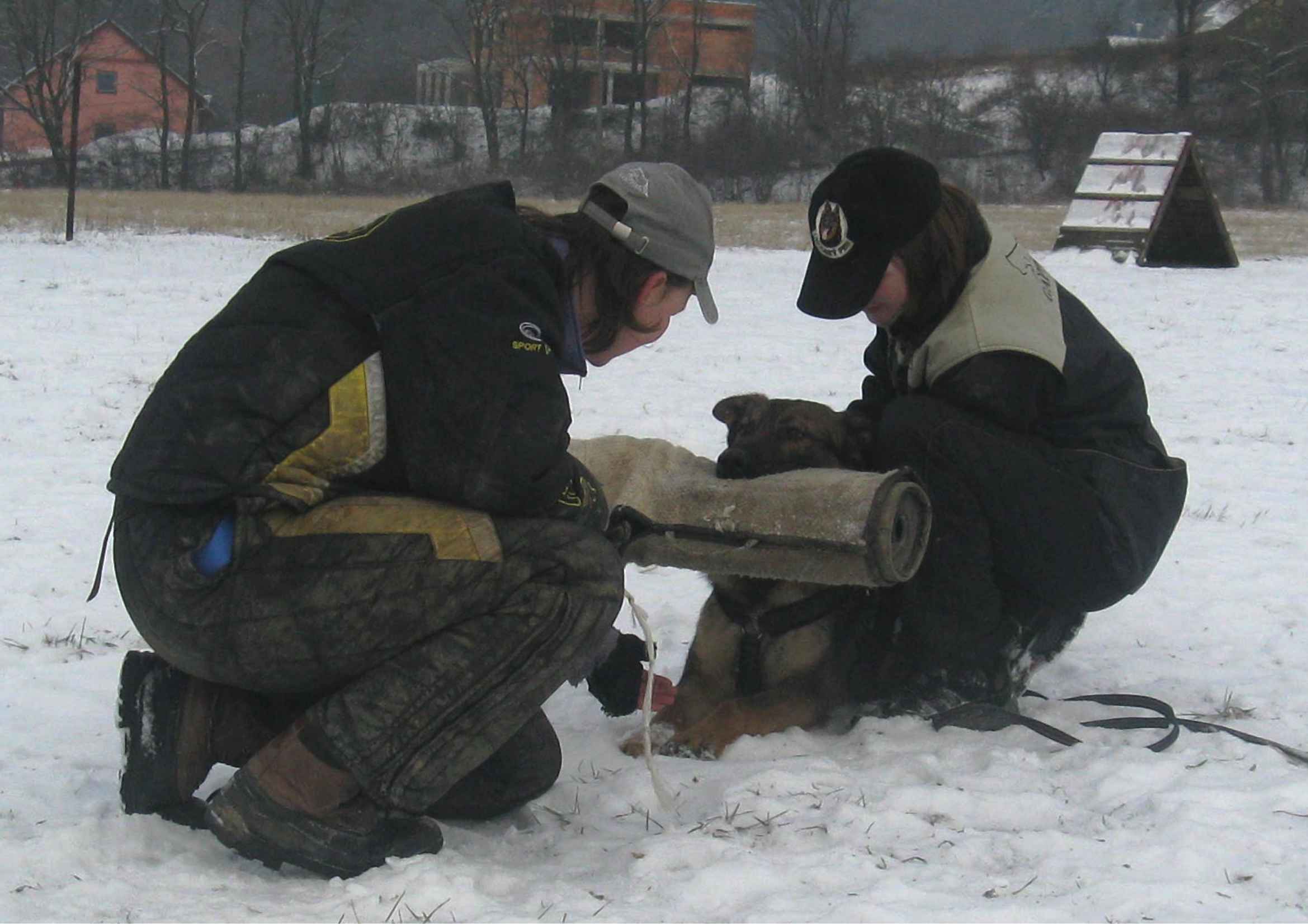 09.jpg