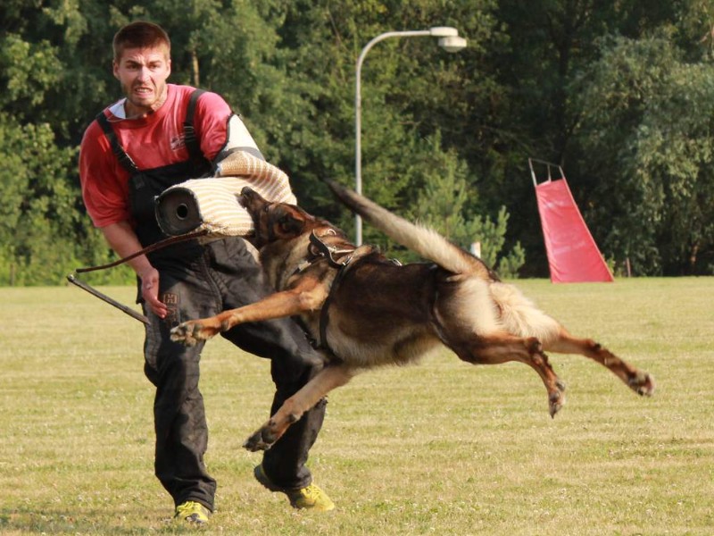 Nepojmenovaný 31